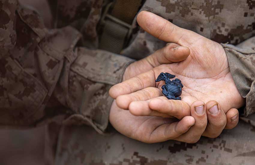 Meet-the-marine